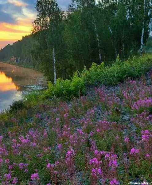  عکس دریا و گل برای پروفایل