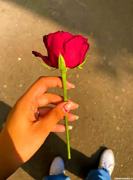  عکس دریا و گل برای پروفایل