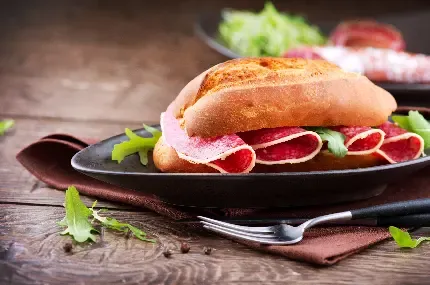  عکس فست فود خوشمزه