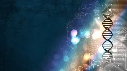  عکس آزمایشگاه خون