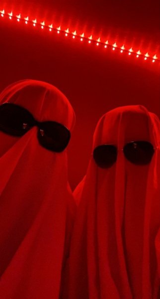 عکس قرمز شاخ