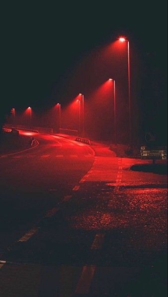  عکس قرمز شاخ