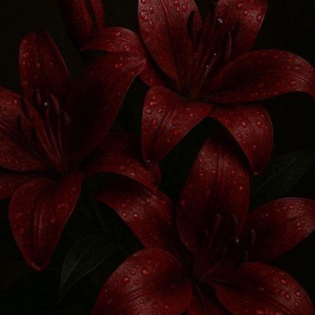  بک گراند قرمز خفن