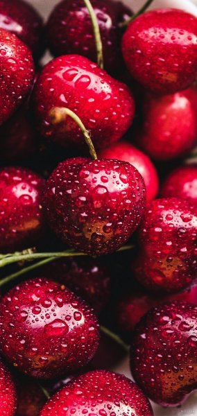  بک گراند قرمز گوگولی