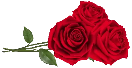  تصویر زمینه موبایل دخترانه قرمز