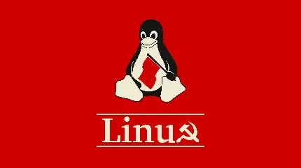  تصویر زمینه موبایل دخترانه قرمز