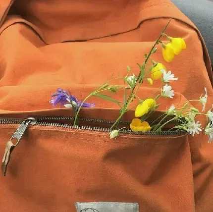  عکس نارنجی فانتزی