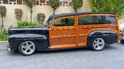  عکس نارنجی کیوت