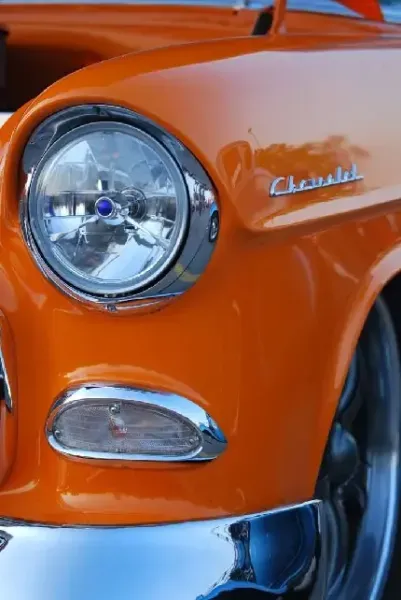  عکس نارنجی کیوت