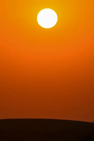  عکس نارنجی کیوت