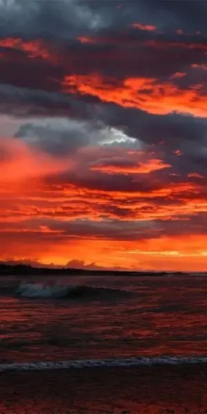  عکس نارنجی کیوت