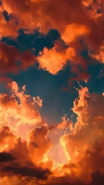  عکس نارنجی کیوت