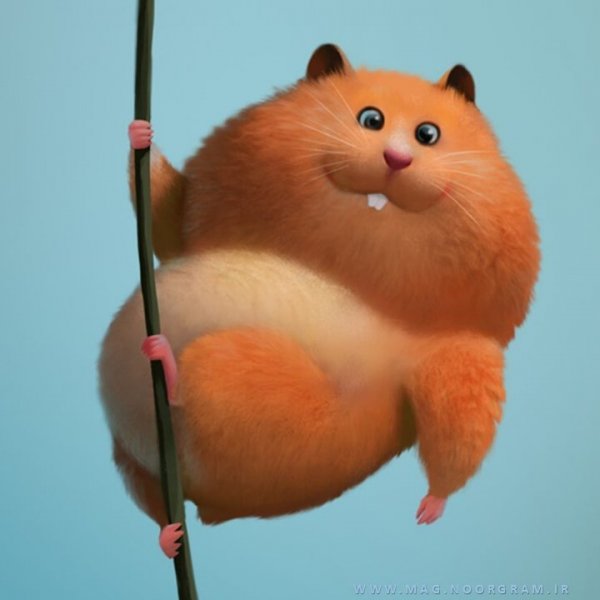  عکس نارنجی برای پروفایل