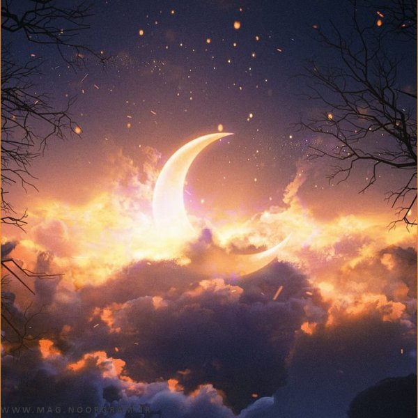  عکس نارنجی برای پروفایل