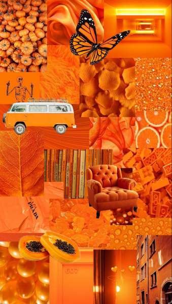 عکس پس زمینه نارنجی کیوت