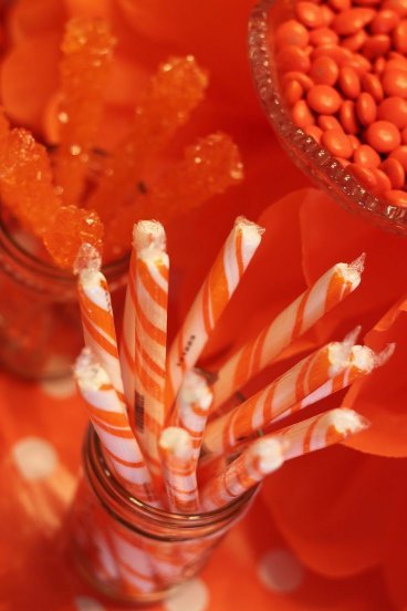  عکس پس زمینه نارنجی کیوت