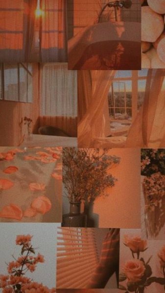  عکس پس زمینه نارنجی کیوت