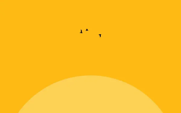  عکس رنگ نارنجی جیغ