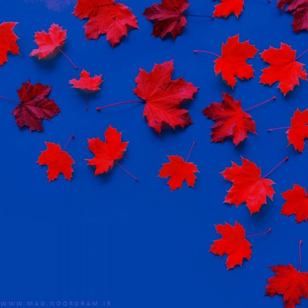  بک گراند نارنجی پاستیلی کیوت