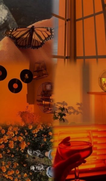 بک گراند نارنجی پاییزی