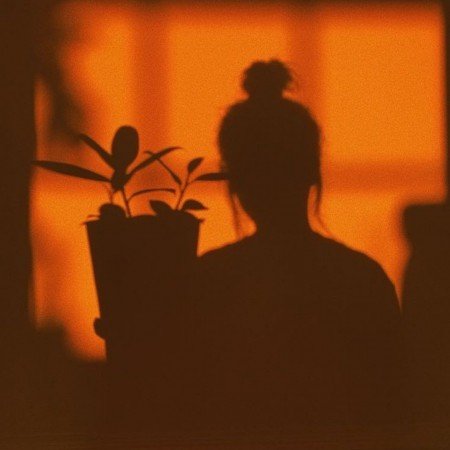  بک گراند نارنجی پاییزی