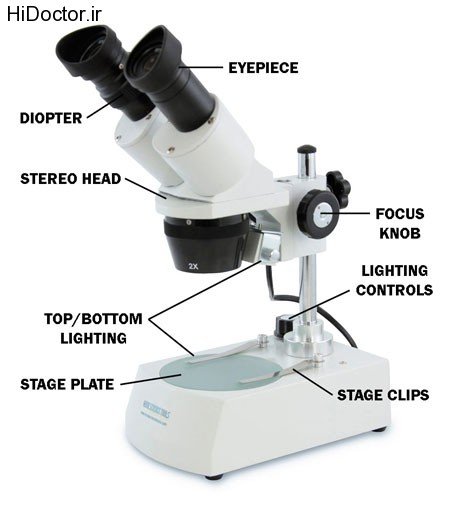  عکس های میکروسکوپ