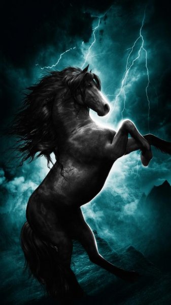  تصویر زمینه اسب سفید با کیفیت عالی