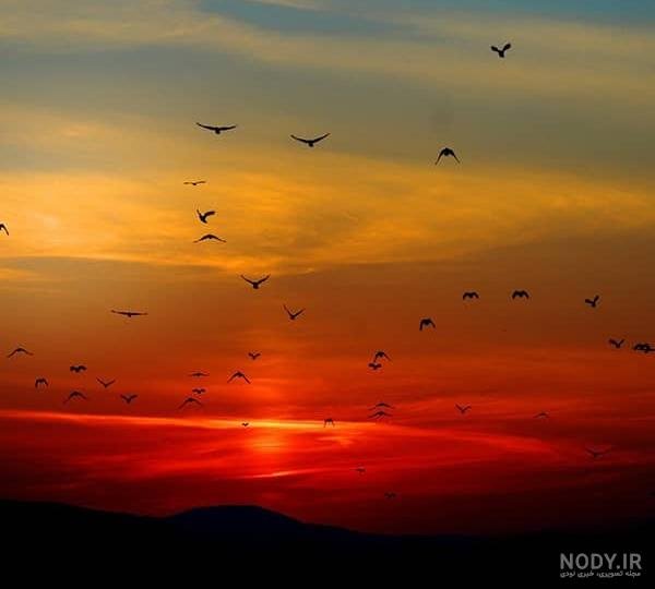  عکس تنهایی دختر بدون چهره در غروب