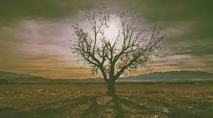 عکس پروفایل غمگین پسرانه شکست عشقی بدون متن