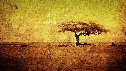  عکس تک درخت تنها برای پروفایل