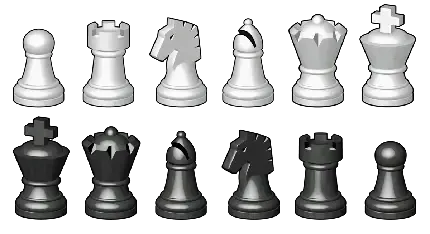  عکس شطرنج برای پروفایل