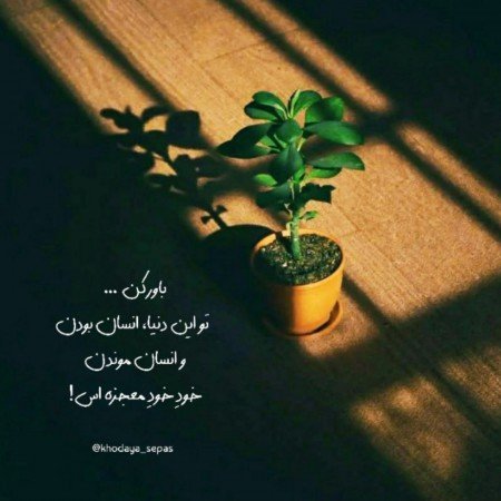  عکس شاد فانتزی