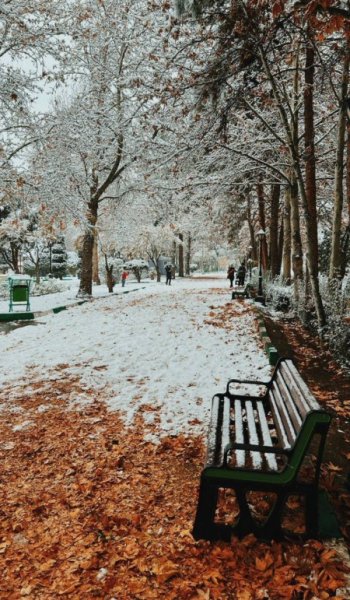  عکس شاد فانتزی