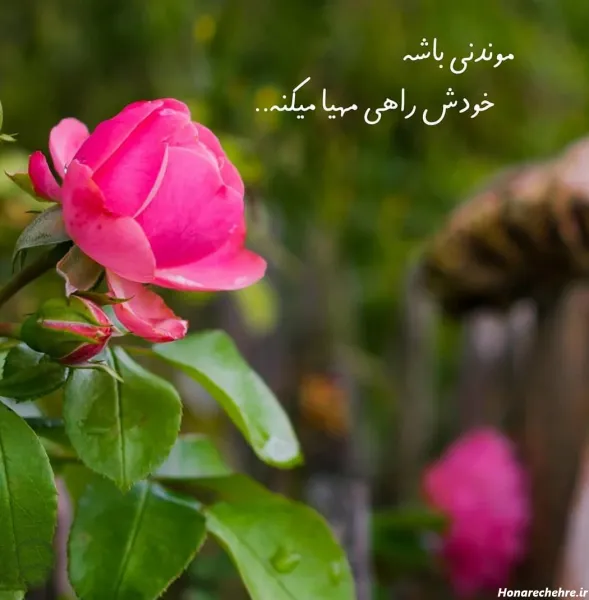  عکس پروفایل شاد و قشنگ