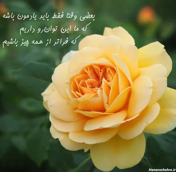  عکس پروفایل شاد و قشنگ