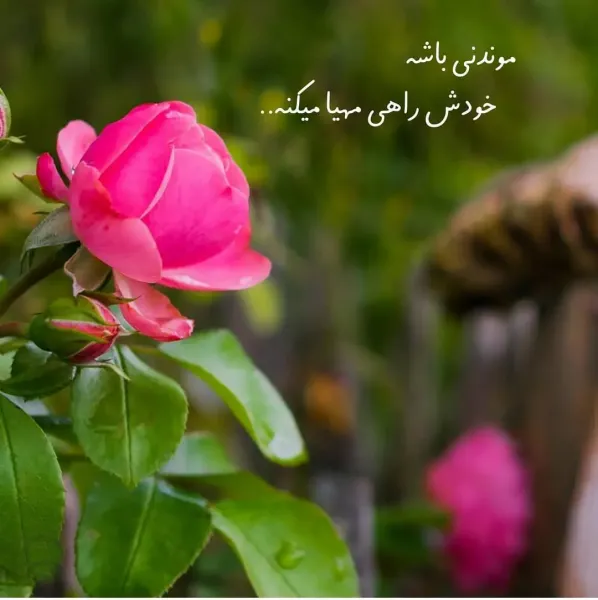  عکس های شاد برای پروفایل