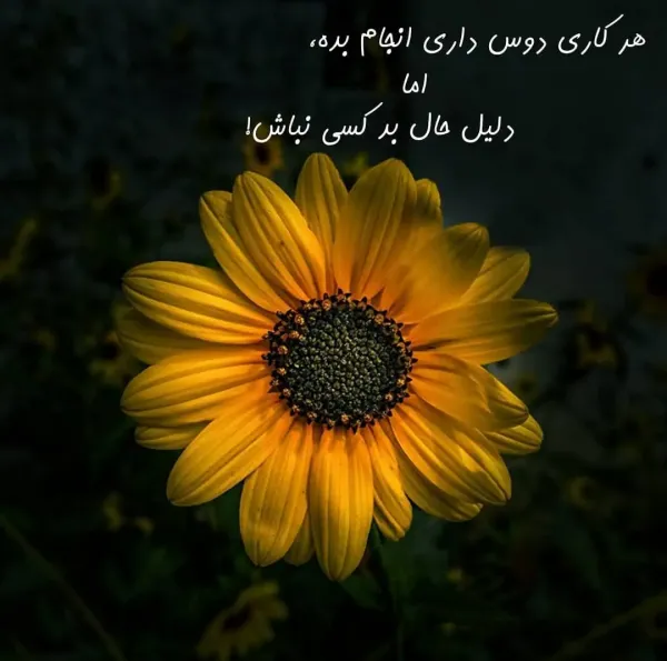  عکس های شاد برای پروفایل