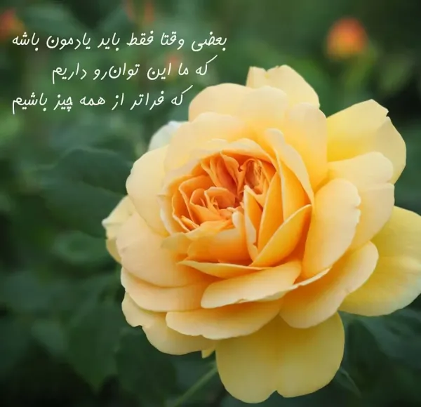  عکس های شاد برای پروفایل