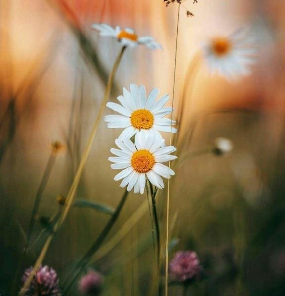  عکس پروفایل شاد و انرژی مثبت