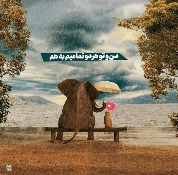 عکس پروفایل شاد زنانه