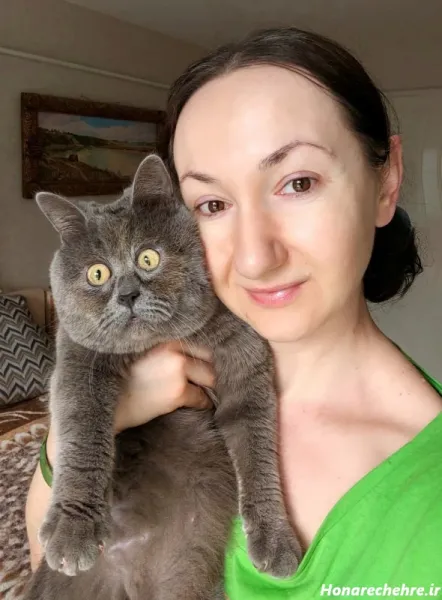  عکس گربه نارنجی کارتونی