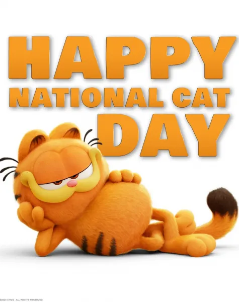  عکس گربه نارنجی کارتونی