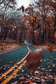 عکس جاده واقعی