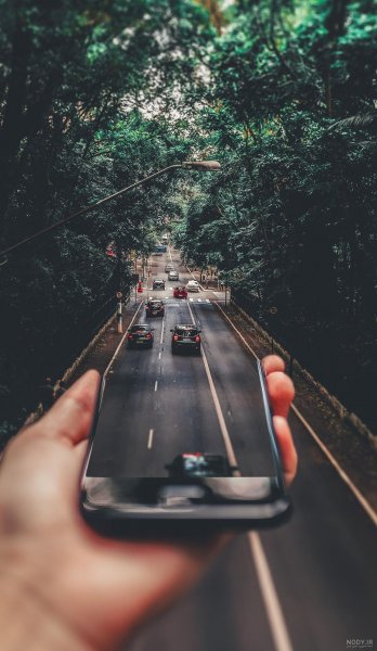  عکس جاده جنگلی با کیفیت بالا