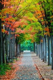 عکس جاده واقعی