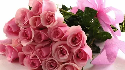  عکس گل های رنگارنگ با کیفیت بالا