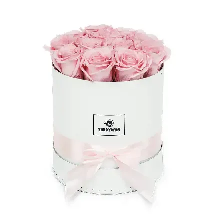  عکس گل های رنگارنگ با کیفیت بالا