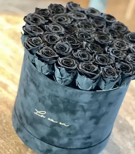  عکس گل های رنگارنگ با کیفیت بالا