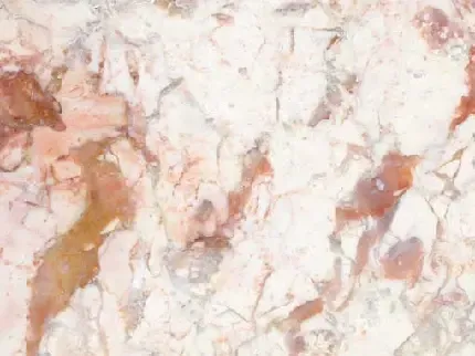  عکس گل های رنگارنگ با کیفیت بالا