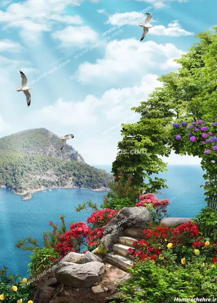 عکس پرندگان جفت زیبا